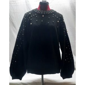 NWOT INC International Concepts Crew Neck Sweater with Faux Pearls LG